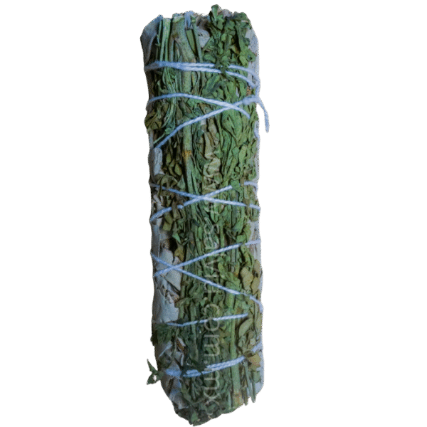 Atado de Salvia Blanca con Ruda de 10 cm