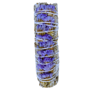 Atado de Salvia Blanca con Sinuata de 10 cm